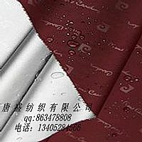 RPET雨伞面料260T